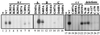 FIG. 8