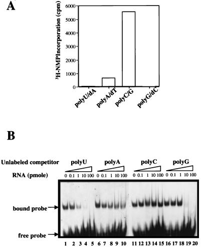 FIG. 5