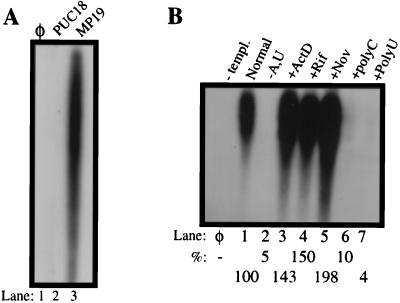 FIG. 6