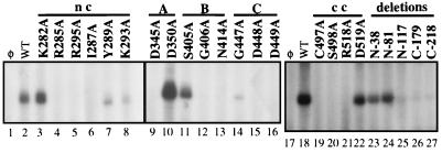 FIG. 8