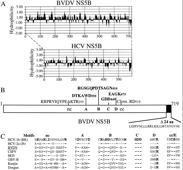 FIG. 1