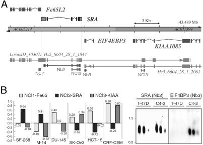 Fig 1.