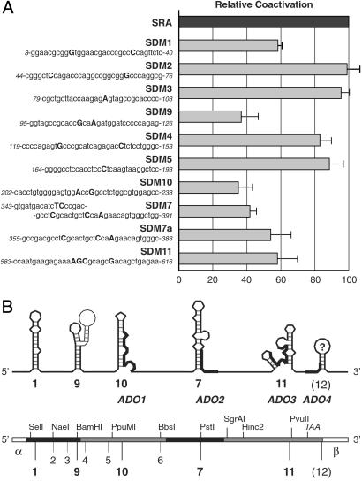 Fig 4.