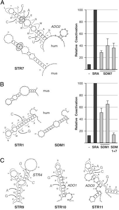 Fig 3.