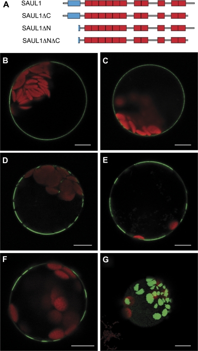 Fig. 3.