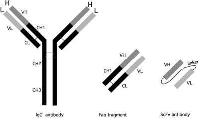 Fig. 2.