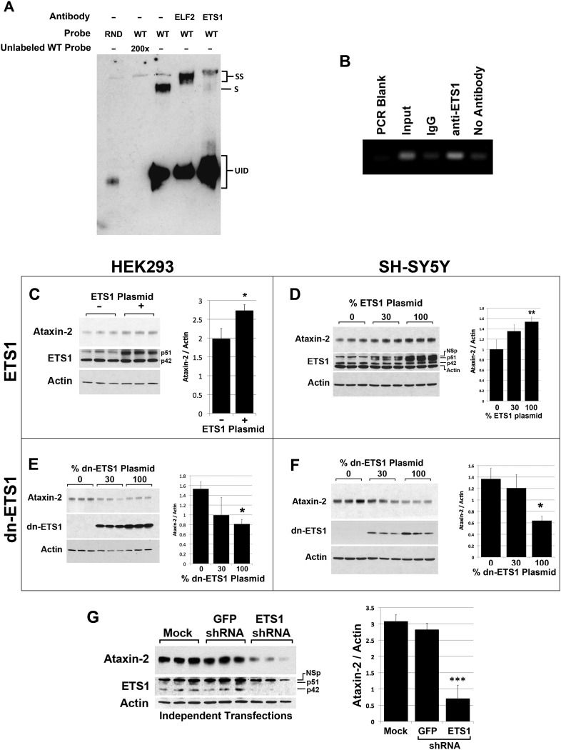 Figure 6.