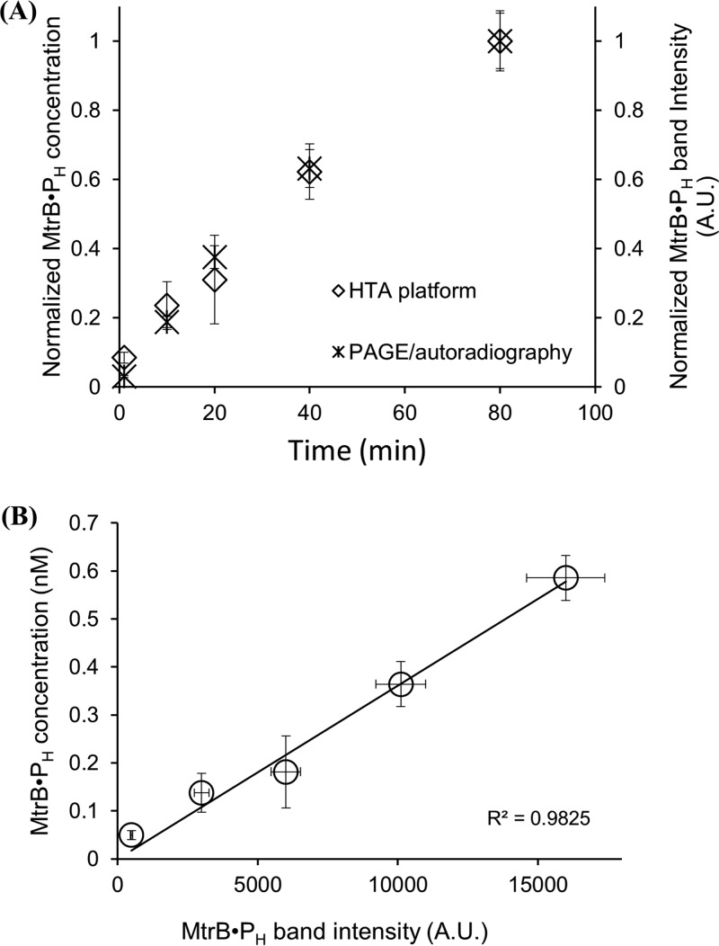 FIG 2 