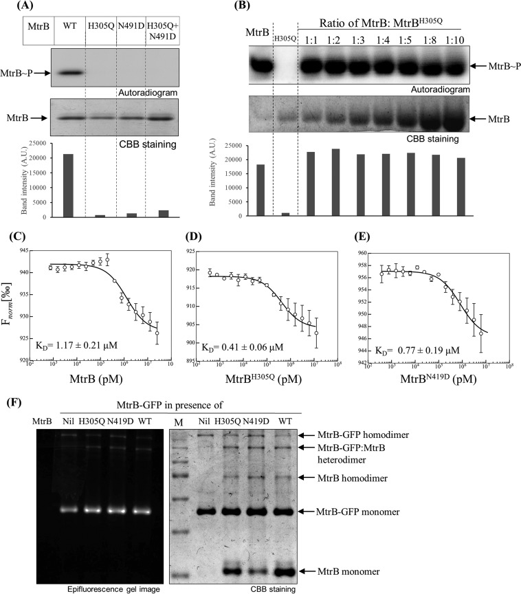 FIG 1 