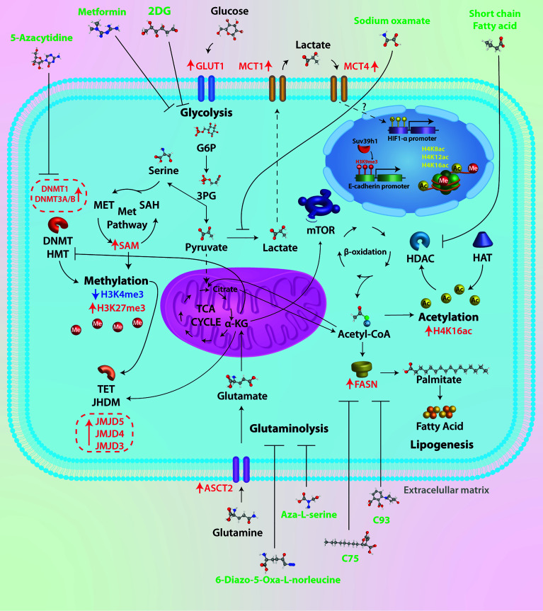 Figure 1