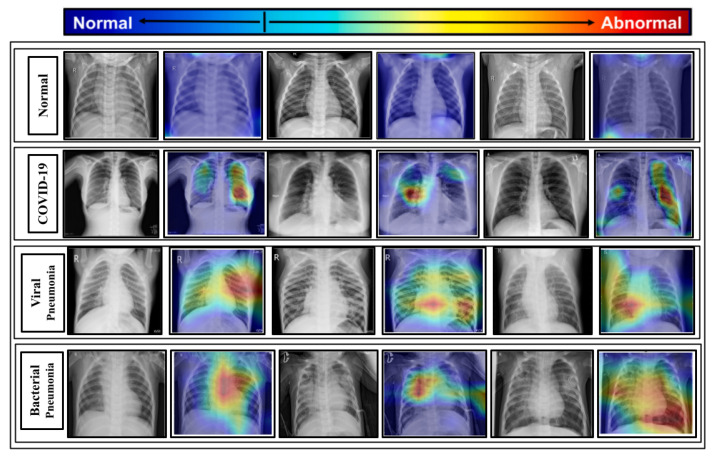 Figure 13