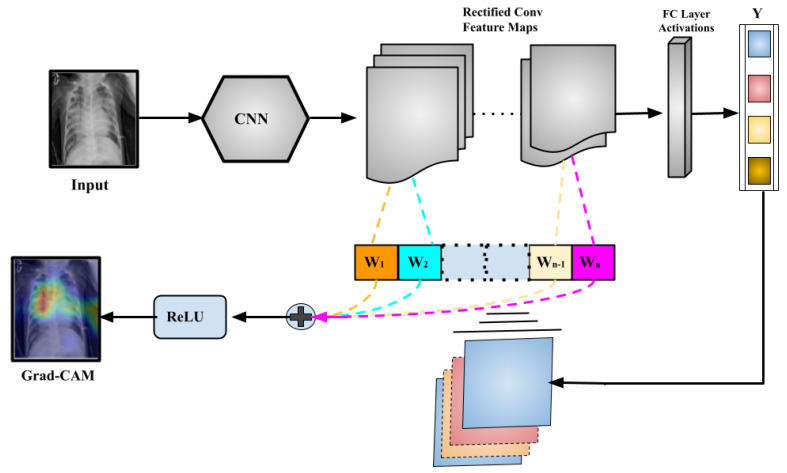 Figure 12