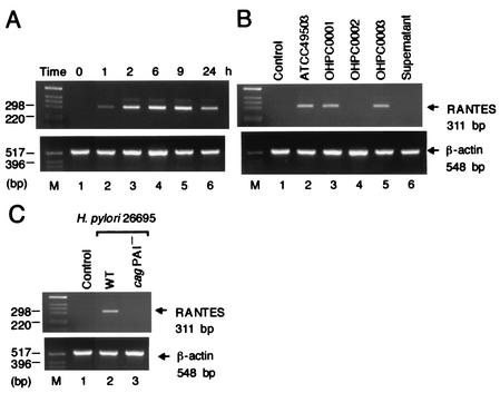 FIG. 2.