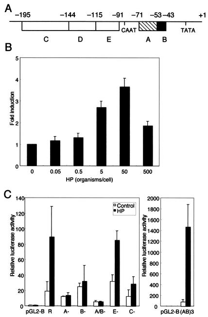 FIG. 3.