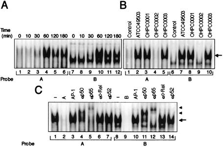 FIG. 4.