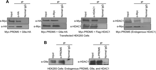 FIG. 8.