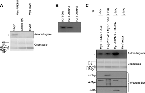 FIG. 7.