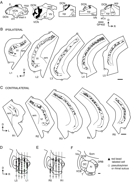 Fig. 4