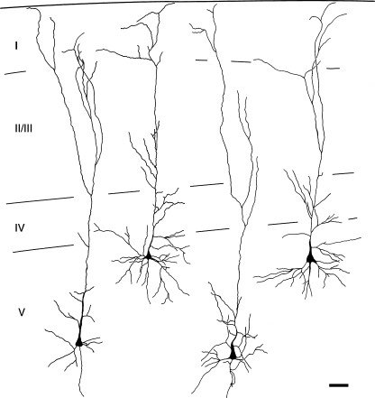 Fig. 10