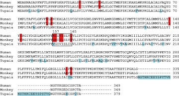 Figure 7—figure supplement 1.