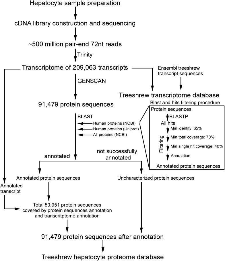 Figure 2—figure supplement 1.