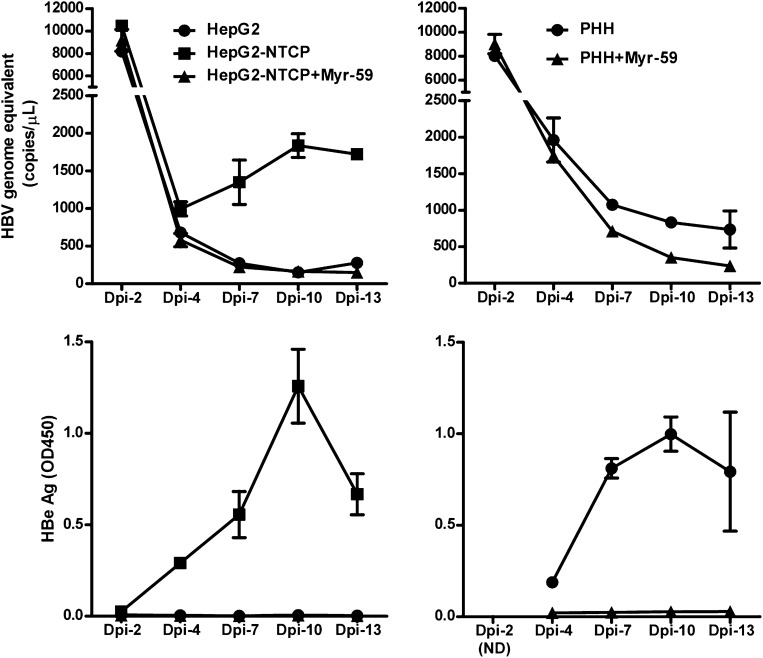 Figure 6—figure supplement 4.