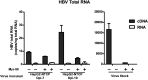 Figure 6—figure supplement 5.