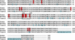 Figure 7—figure supplement 1.