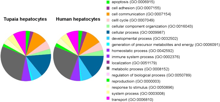 Figure 2—figure supplement 4.