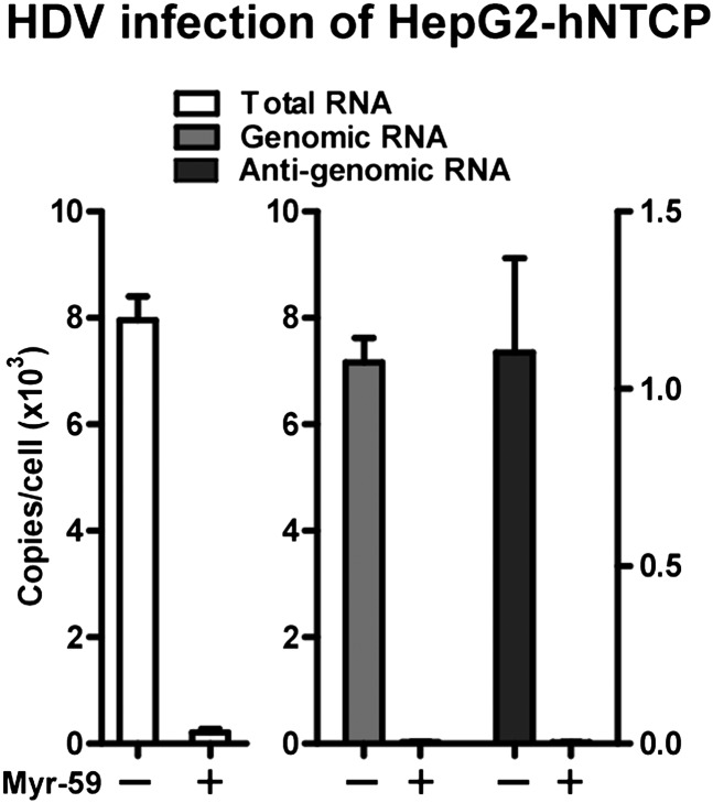 Figure 5—figure supplement 3.