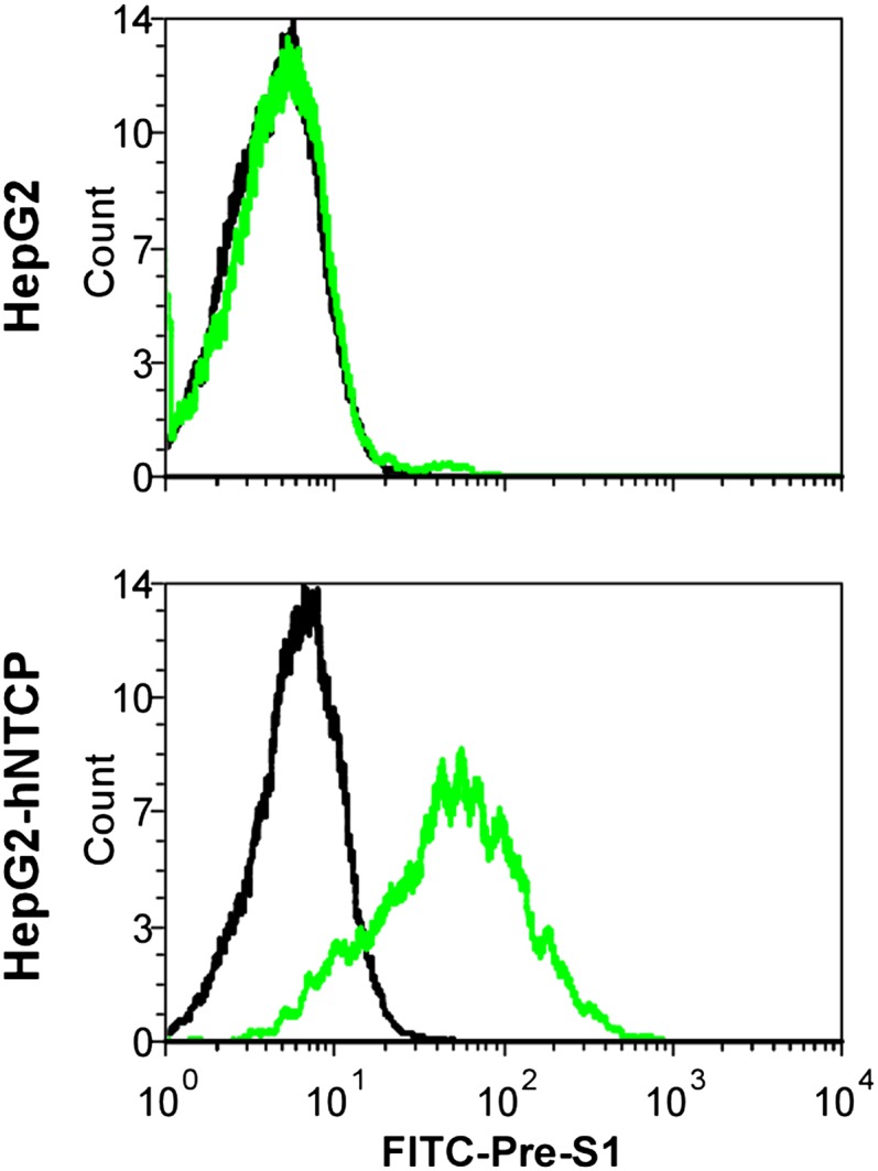 Figure 5—figure supplement 2.