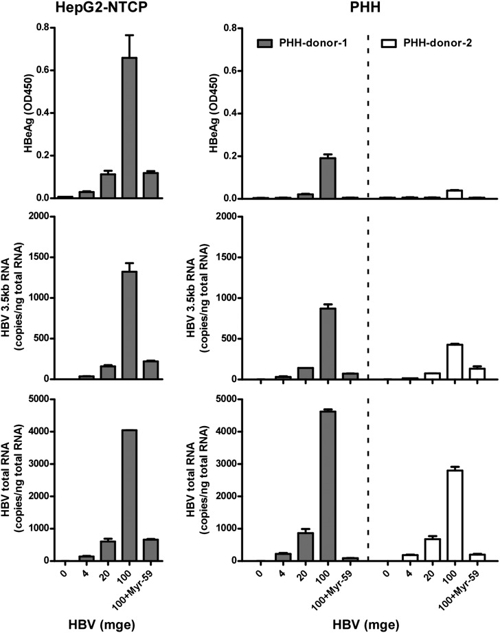 Figure 6—figure supplement 3.