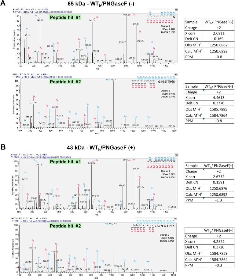 Figure 2—figure supplement 5.