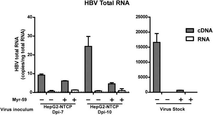 Figure 6—figure supplement 5.