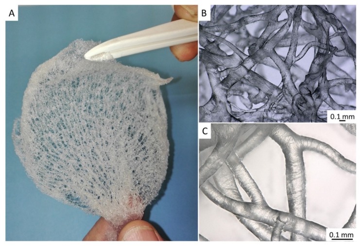 Figure 7