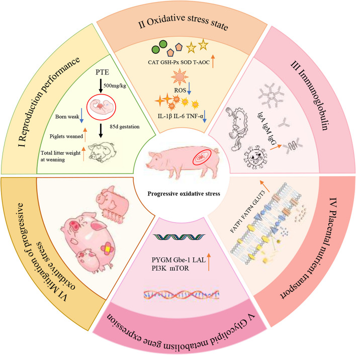 graphic file with name 40104_2024_1090_Figa_HTML.jpg