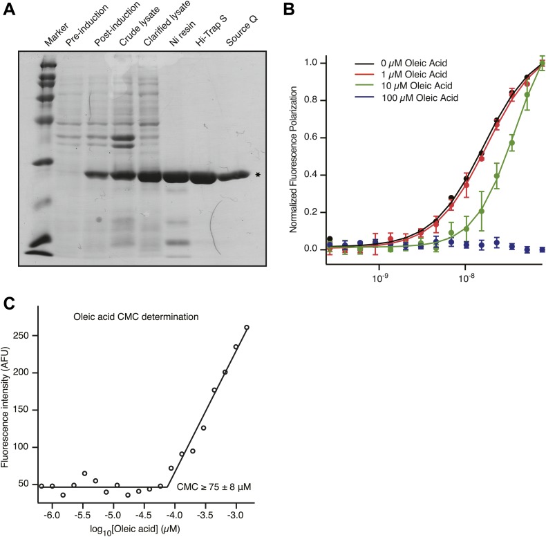 Figure 1—figure supplement 1.