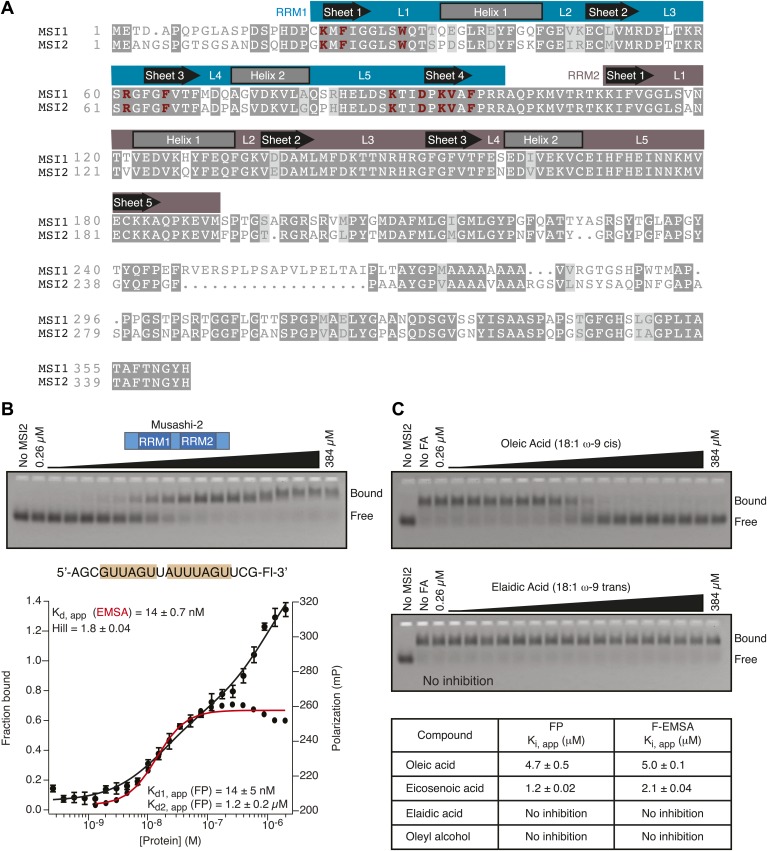 Figure 1—figure supplement 2.