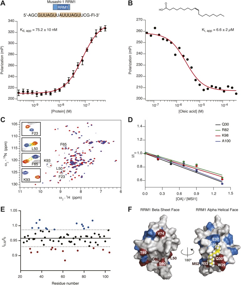 Figure 2—figure supplement 2.