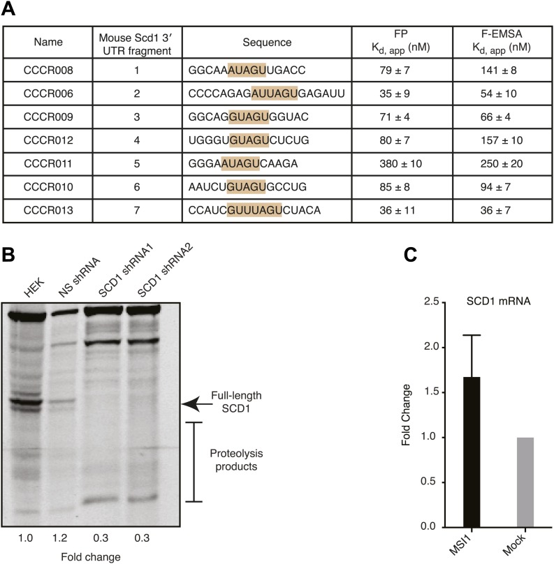 Figure 5—figure supplement 2.