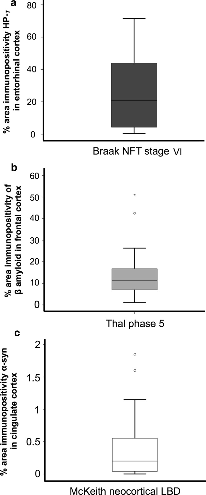 Fig. 5