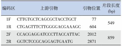 graphic file with name zgddekzz-19-6-652-T2.jpg