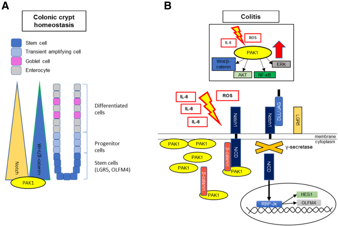 Figure 6