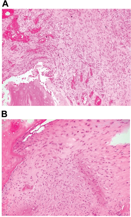 Figure  5. 