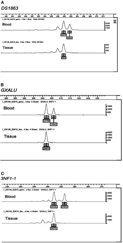 Figure  6. 