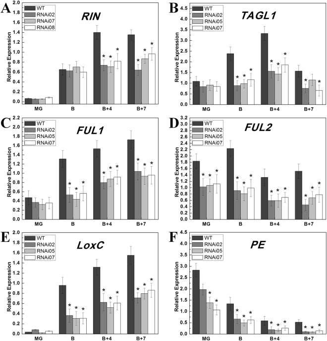 Figure 4