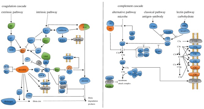 Figure 3.