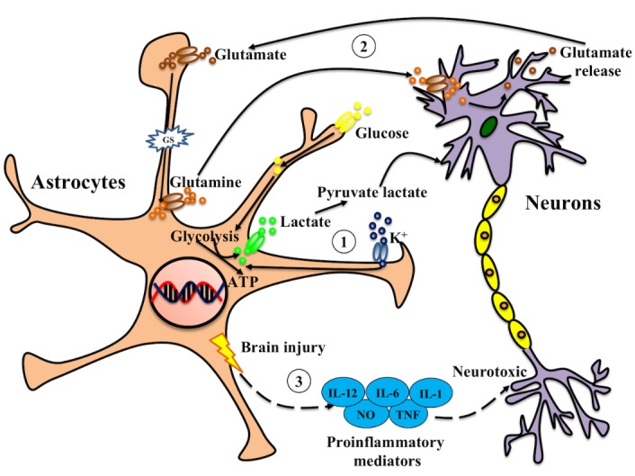 Figure 1.