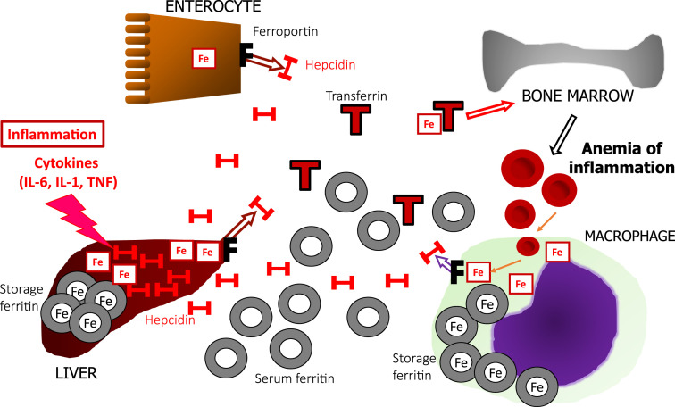 Figure 2.