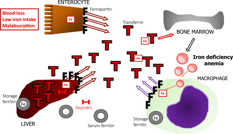 Figure 1.